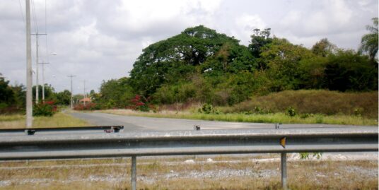 TERRENO EN AUTOVIA DEL ESTE, JUAN DOLIO
